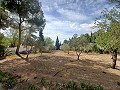 Lovely 5 bed 1 Bath Villa near the Town of Sax in Spanish Fincas