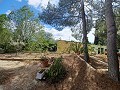 Lovely 5 bed 1 Bath Villa near the Town of Sax in Spanish Fincas