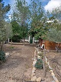 Lovely 5 bed 1 Bath Villa near the Town of Sax in Spanish Fincas