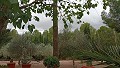 Lovely 5 bed 1 Bath Villa near the Town of Sax in Spanish Fincas