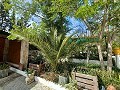 Lovely 5 bed 1 Bath Villa near the Town of Sax in Spanish Fincas