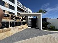 2 bedroom Penthouse in Playa Flamenca in Spanish Fincas