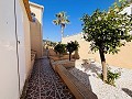 Villa de 7 chambres à San Miguel de Salinas in Spanish Fincas
