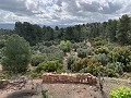 Superbe maison de campagne avec 4 chambres et terrain de 20 000 m2 in Spanish Fincas