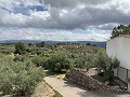 Superbe maison de campagne avec 4 chambres et terrain de 20 000 m2 in Spanish Fincas
