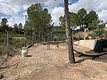 Superbe maison de campagne avec 4 chambres et terrain de 20 000 m2 in Spanish Fincas
