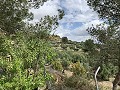 Superbe maison de campagne avec 4 chambres et terrain de 20 000 m2 in Spanish Fincas