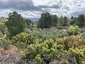 Superbe maison de campagne avec 4 chambres et terrain de 20 000 m2 in Spanish Fincas