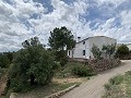 Superbe maison de campagne avec 4 chambres et terrain de 20 000 m2 in Spanish Fincas