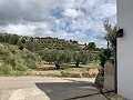 Superbe maison de campagne avec 4 chambres et terrain de 20 000 m2 in Spanish Fincas