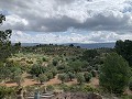 Superbe maison de campagne avec 4 chambres et terrain de 20 000 m2 in Spanish Fincas