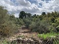 Superbe maison de campagne avec 4 chambres et terrain de 20 000 m2 in Spanish Fincas