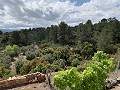 Superbe maison de campagne avec 4 chambres et terrain de 20 000 m2 in Spanish Fincas
