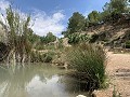 Maison à rénover avec 3 chambres et espace pour piscine in Spanish Fincas