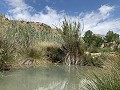 Maison à rénover avec 3 chambres et espace pour piscine in Spanish Fincas