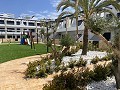Bungalow de 3 dormitorios en Punta Prima in Spanish Fincas