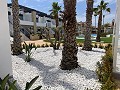 Bungalow de 3 dormitorios en Punta Prima in Spanish Fincas