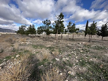 Städtisches Baugrundstück in Salinas