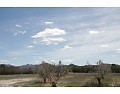 Lovely 3 Bedroom 2 Bathroom Country House in Villena. in Spanish Fincas