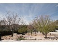 Lovely 3 Bedroom 2 Bathroom Country House in Villena. in Spanish Fincas