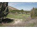 Lovely 3 Bedroom 2 Bathroom Country House in Villena. in Spanish Fincas