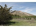 Lovely 3 Bedroom 2 Bathroom Country House in Villena. in Spanish Fincas