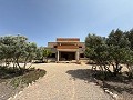 Schitterende, 70% afgewerkte nieuwbouwvilla met 7 slaapkamers en 4 badkamers te koop in Salinas. in Spanish Fincas