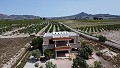 Schitterende, 70% afgewerkte nieuwbouwvilla met 7 slaapkamers en 4 badkamers te koop in Salinas. in Spanish Fincas