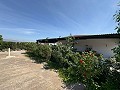 Instapklare moderne villa met 5 slaapkamers in Sax, Alicante met zwembad in Spanish Fincas