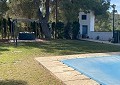 Prachtige traditionele villa met 5 slaapkamers en 2 badkamers op 140.000 m2 bos in Sax in Spanish Fincas