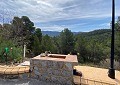 Prachtige traditionele villa met 5 slaapkamers en 2 badkamers op 140.000 m2 bos in Sax in Spanish Fincas