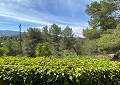 Prachtige traditionele villa met 5 slaapkamers en 2 badkamers op 140.000 m2 bos in Sax in Spanish Fincas