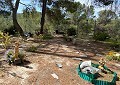 Prachtige traditionele villa met 5 slaapkamers en 2 badkamers op 140.000 m2 bos in Sax in Spanish Fincas