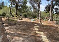 Prachtige traditionele villa met 5 slaapkamers en 2 badkamers op 140.000 m2 bos in Sax in Spanish Fincas