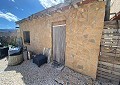 Casa de campo de 3 dormitorios con un apartamento anexo de 2 dormitorios más un estudio de 1 dormitorio en Sax. in Spanish Fincas