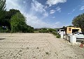 4 Bed Finca with Pool and Lovely Garden Area 10 Minutes Walk To Town of Sax in Spanish Fincas