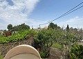 4 Bed Finca with Pool and Lovely Garden Area 10 Minutes Walk To Town of Sax in Spanish Fincas
