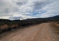 Hermosa finca en Sax, 2 dormitorios, 1 baño con potencial para mucho más. in Spanish Fincas