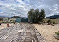 Hermosa finca en Sax, 2 dormitorios, 1 baño con potencial para mucho más. in Spanish Fincas