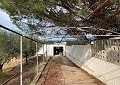 Hermosa finca en Sax, 2 dormitorios, 1 baño con potencial para mucho más. in Spanish Fincas