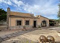 Hermosa finca en Sax, 2 dormitorios, 1 baño con potencial para mucho más. in Spanish Fincas