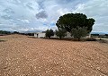 Hermosa finca en Sax, 2 dormitorios, 1 baño con potencial para mucho más. in Spanish Fincas