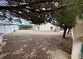 Hermosa finca en Sax, 2 dormitorios, 1 baño con potencial para mucho más. in Spanish Fincas