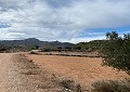 Hermosa finca en Sax, 2 dormitorios, 1 baño con potencial para mucho más. in Spanish Fincas