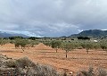 Hermosa finca en Sax, 2 dormitorios, 1 baño con potencial para mucho más. in Spanish Fincas