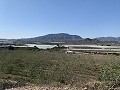 Parcela edificable cerca de Monforte del Cid in Spanish Fincas