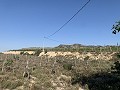 Parcela edificable cerca de Monforte del Cid in Spanish Fincas