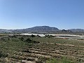 Parcela edificable cerca de Monforte del Cid in Spanish Fincas