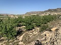 Parcela edificable cerca de Monforte del Cid in Spanish Fincas