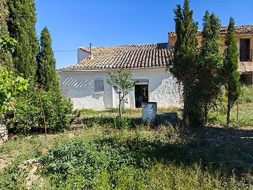 Prachtige landelijke woning wacht op een nieuw begin
